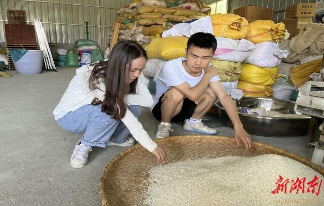 beat365亚洲体育在线官网树达学院“青春之我”社会实践团开展甜酒产业调研 beat365亚洲体育在线官网树达学院“青春之我”社会实践团开展甜酒产业调研