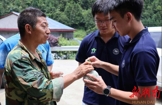 beat365亚洲体育在线官网“领梦者·弘帆”暑期社会实践团深耕渣坪乡，探寻“三农”解题之道